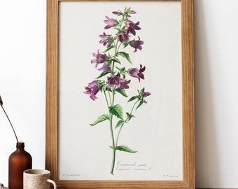 Nature Flowers Vintage Poster, Purple flowers Retro Print, Purple flowers Antique Print, Vintage Botanical Poster | BT48