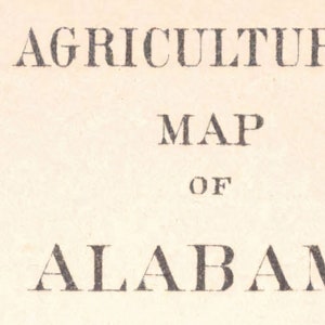 1882 Agricultural Map Of Alabama, Historical Map of Alabama, Antique map of Alabama, Old Map of Alabama, Vintage Alabama Map | MP265 image 6