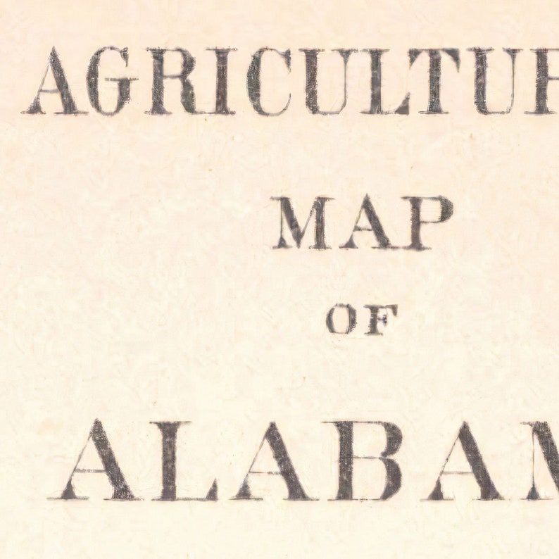 1882 Agricultural Map Of Alabama, Historical Map of Alabama, Antique map of Alabama, Old Map of Alabama, Vintage Alabama Map | MP265 image 6