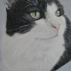 Portrait personnalisé de votre animal aux pastels secs, cadeaux, amoureux des animaux, perte de son animal image 5
