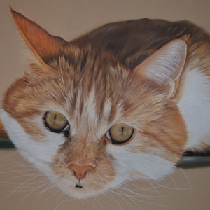 Portrait personnalisé de votre animal aux pastels secs, cadeaux, amoureux des animaux, perte de son animal image 2