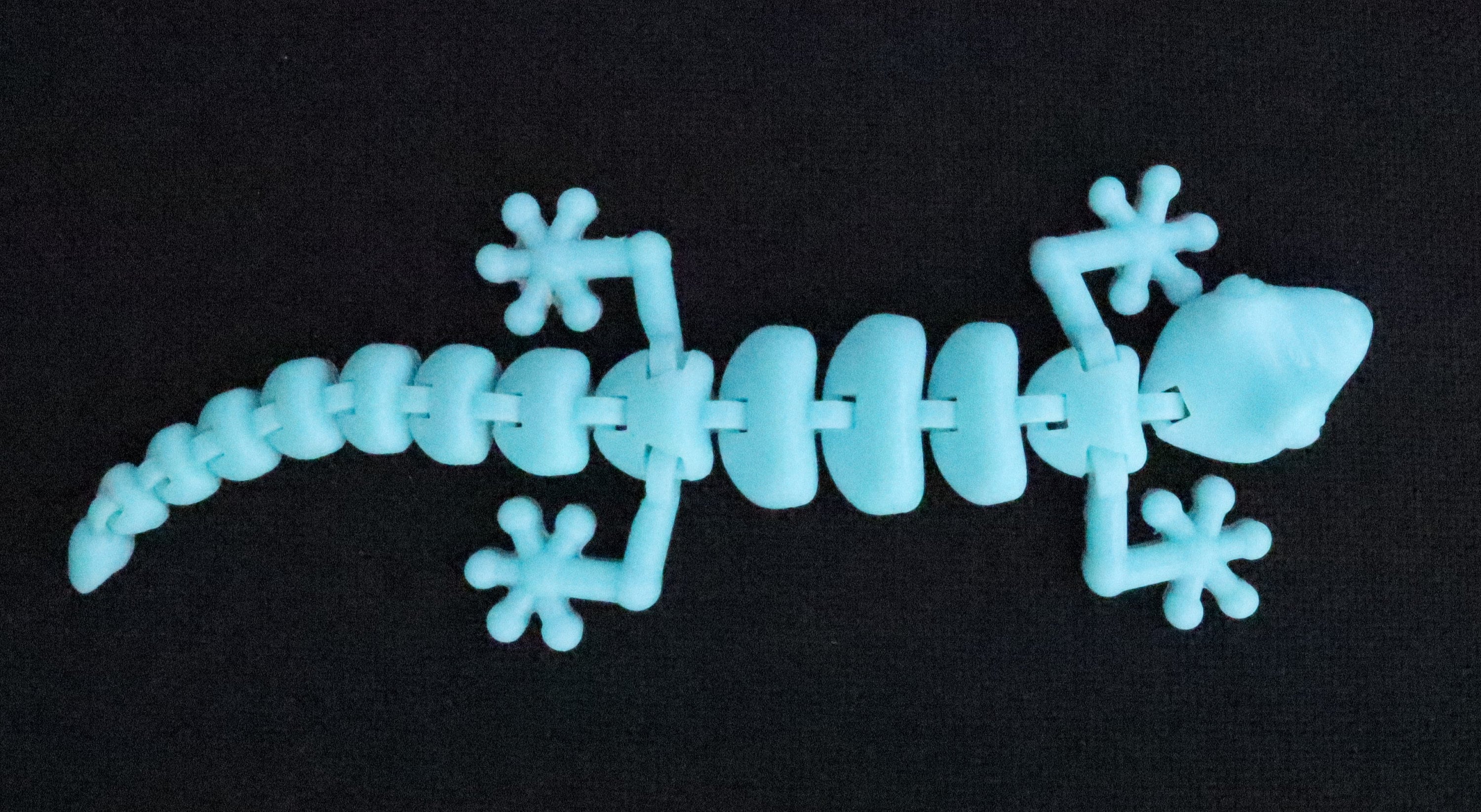 Snafoozle Pocket Gecko blue Articulated 3D Printed Fidget | Etsy