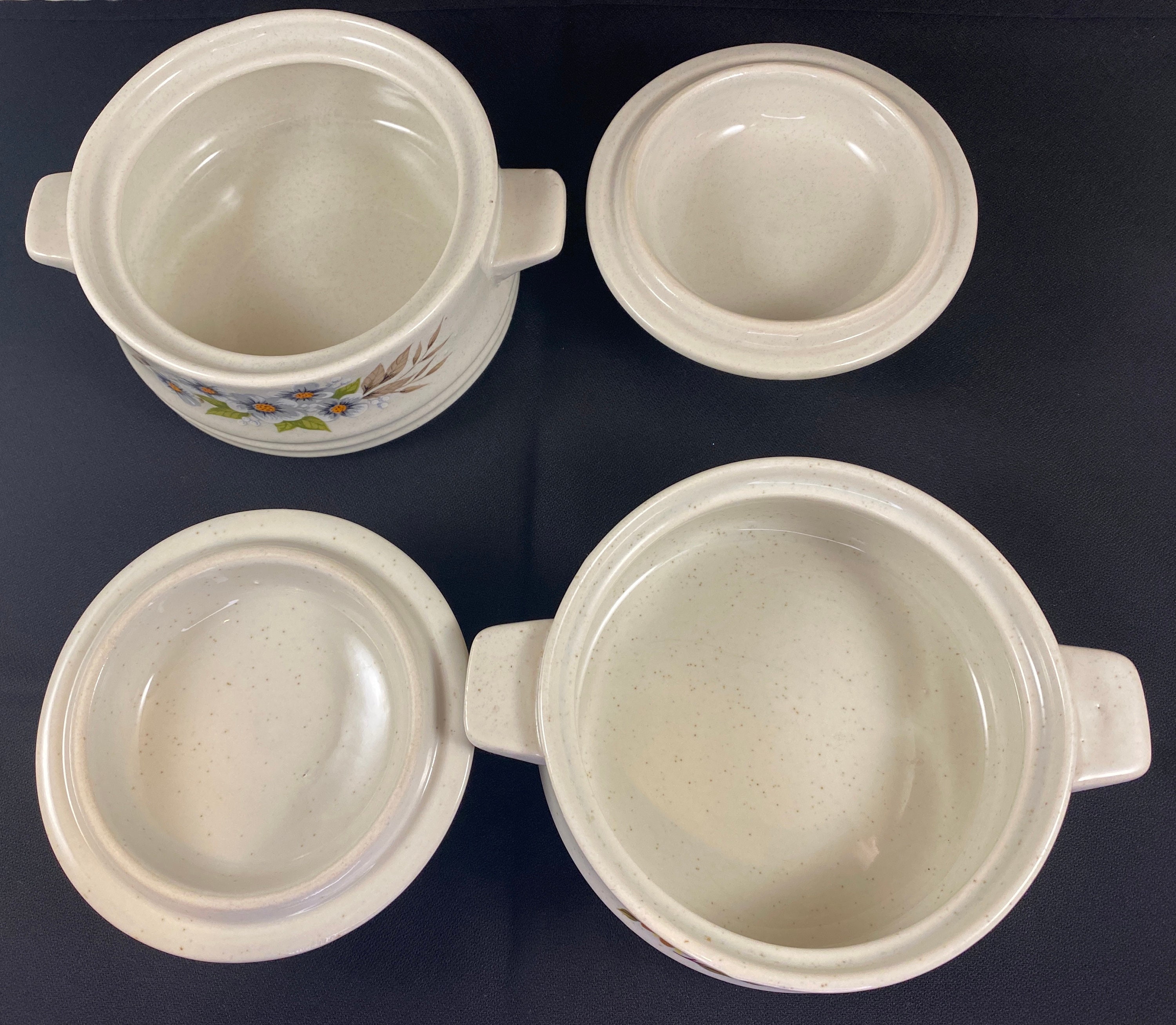 Bake Serve 'n Store Stoneware Crocks 4 Capri, 1 Heavenly, and 1 Sweet