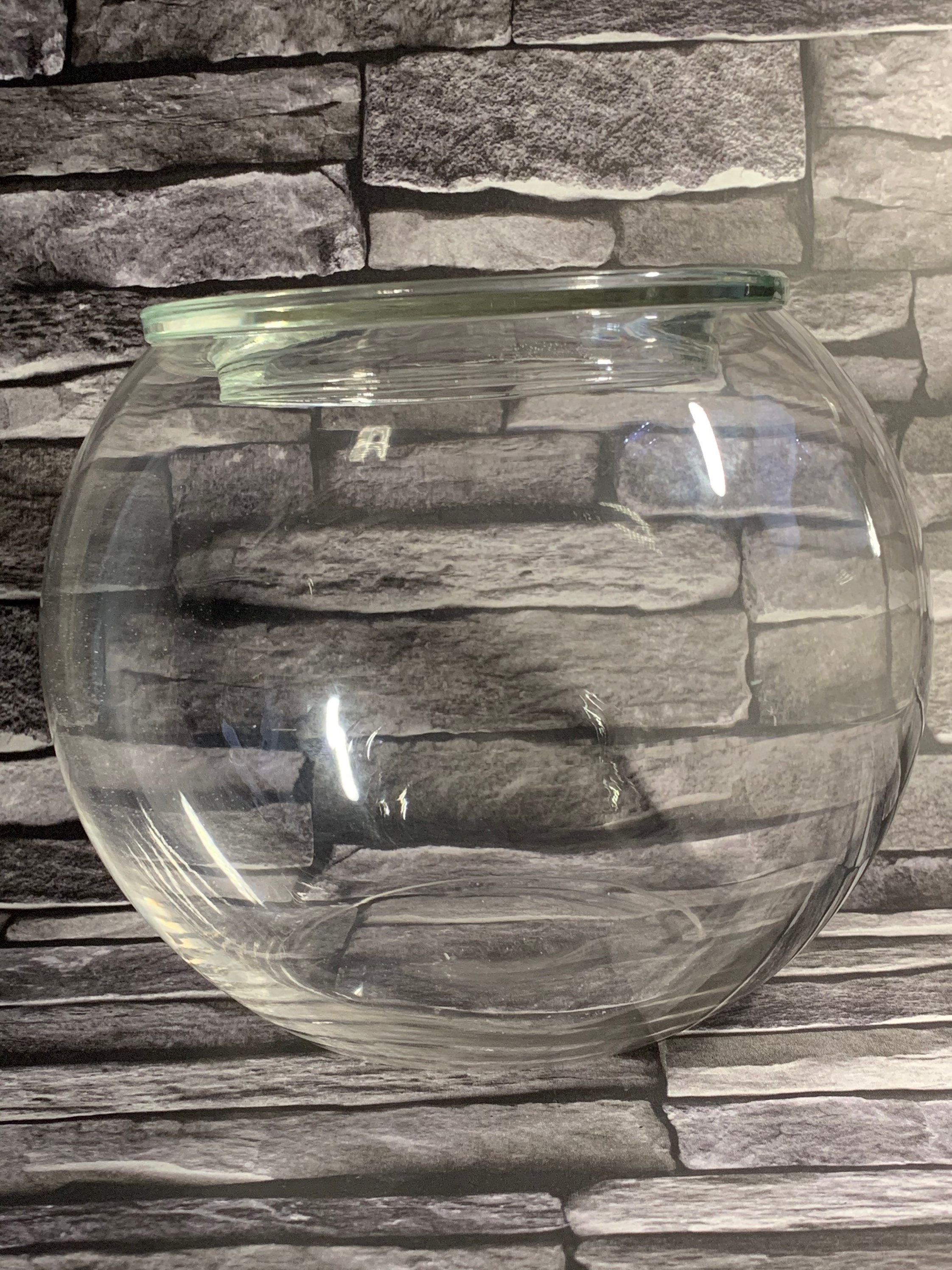 Large glass terrarium bowl with lid for closed terrarium Etsy