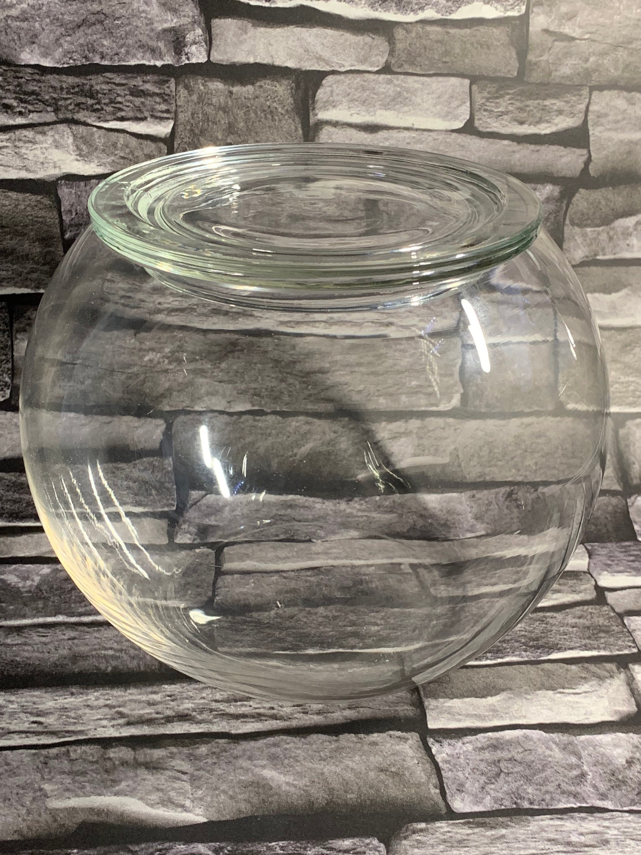 Large glass terrarium bowl with lid for closed terrarium Etsy