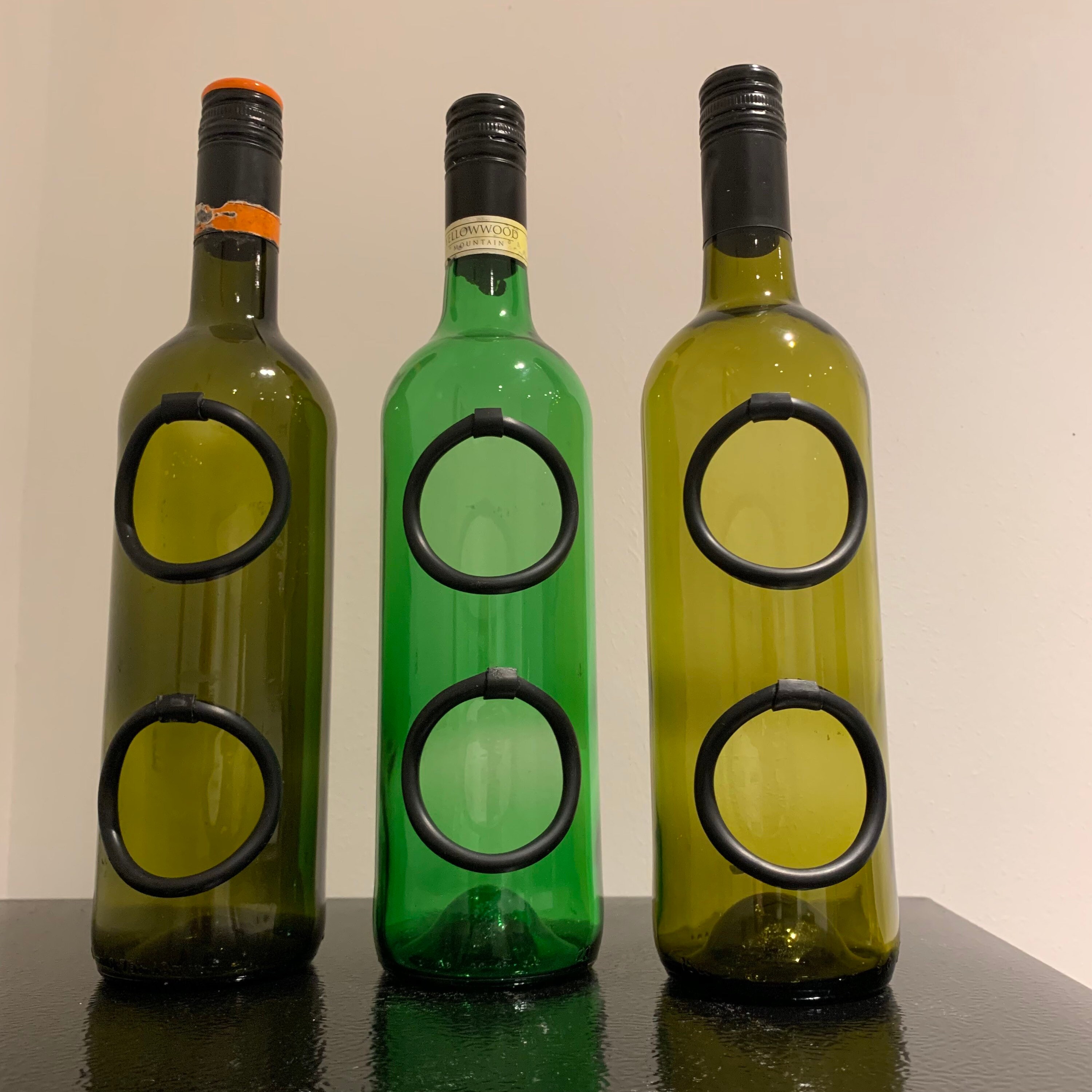 Hydroponic Wine Bottle Herb Garden Kit / Planter Etsy