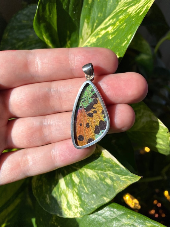 Unique butterfly best sale jewelry