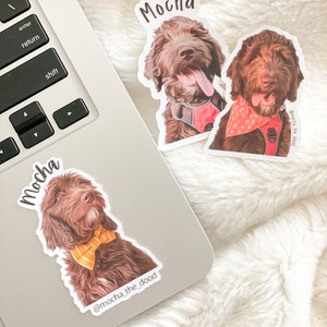 May include: Two brown and white dog stickers with the name "Mocha" and the Instagram handle "@mocha_the_dood" printed on them. The stickers are on a laptop and a fuzzy white surface.