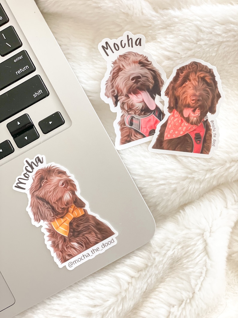 May include: Two brown and white dog stickers with the name "Mocha" and the Instagram handle "@mocha_the_dood" printed on them. The stickers are on a laptop and a fuzzy white surface.
