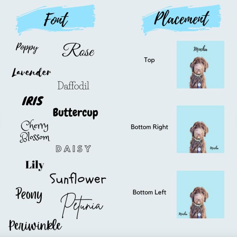 Op de afbeelding: Een grafische weergave met lettertypestijlen en plaatsingsopties. De linkerkant toont lettertypenamen zoals "Poppy" en "Rose". De rechterkant toont een afbeelding van een hond met de naam "Mocha" in verschillende posities: boven, rechtsonder en linksonder, op een lichtblauwe achtergrond.