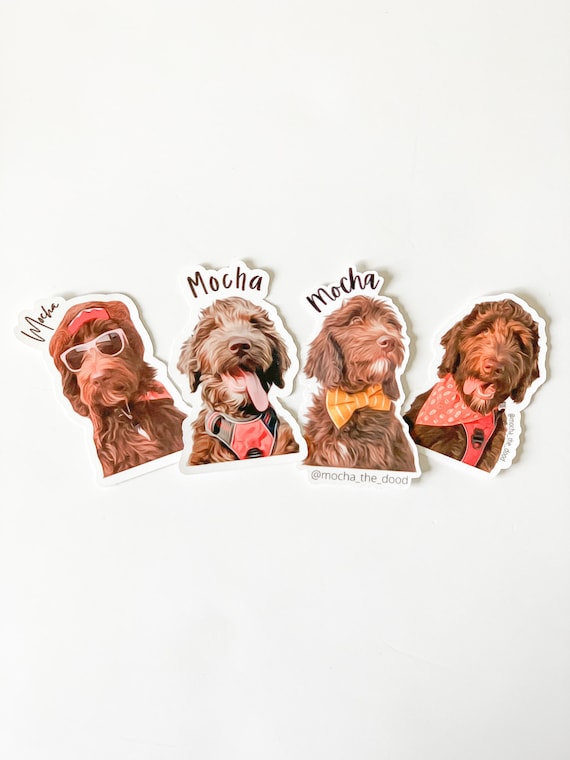 CUSTOM Pet Stickers (1 Pet)