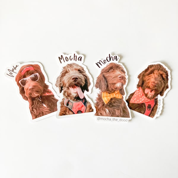 CUSTOM Pet Stickers (1 Pet)