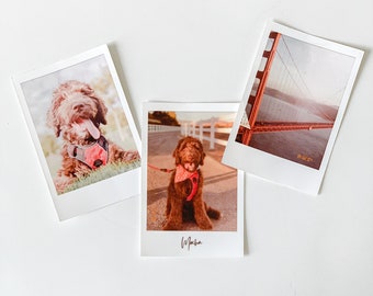 CUSTOM Instant Film Style Sticker - Waterproof Stickers for Hydroflasks & Laptops, Gifts for Pet Lovers