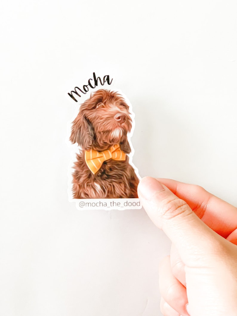 May include: A brown and white dog wearing a yellow bow tie. The dog is looking to the right. The text "mocha" is above the dog and the text "@mocha_the_dood" is below the dog.