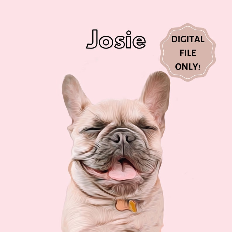 DIGITAL Custom Pet Portrait Solid Color, DIGITAL FILE, Dog Portrait, Gift for Pet Lovers image 7