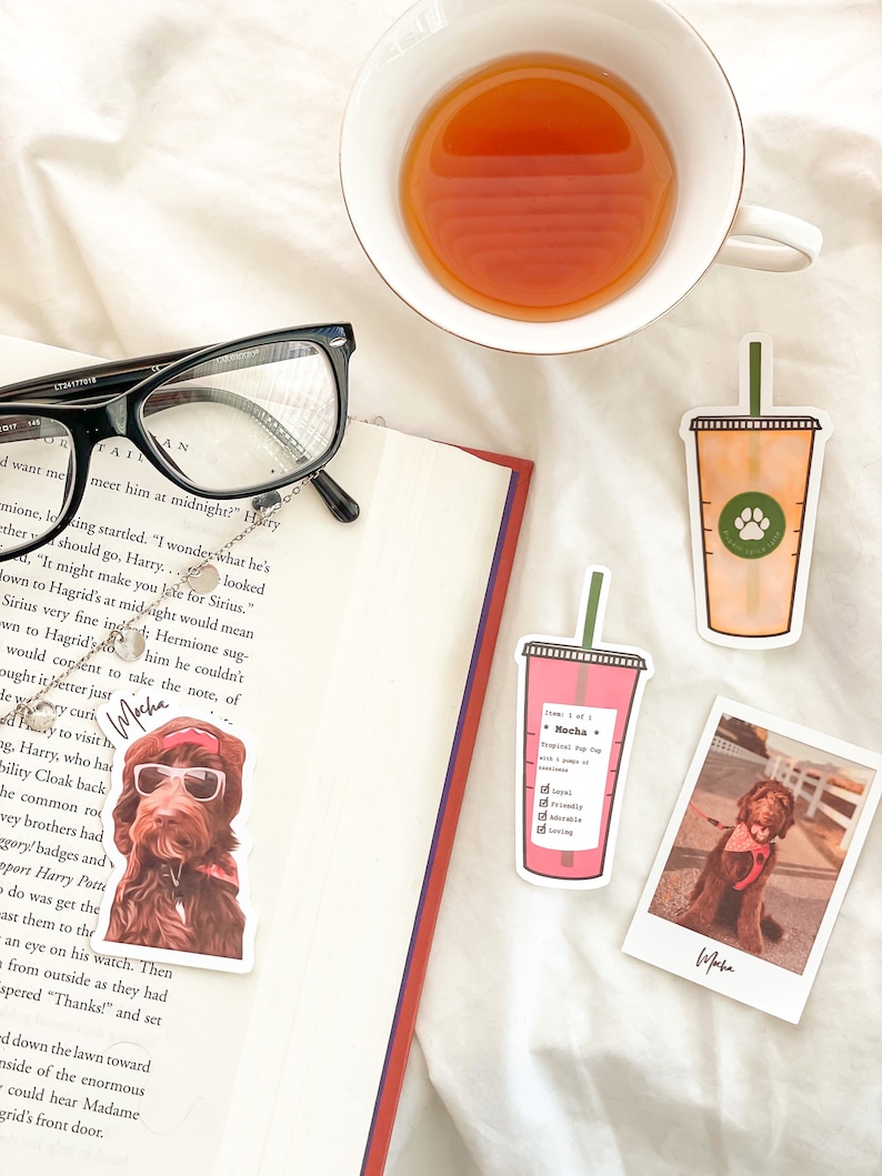 May include: A pink and white sticker with the text "Mocha" and a list of adjectives describing a dog. The sticker is next to a photo of a brown dog wearing a red bandana.