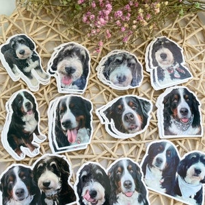May include: A collection of 12 dog stickers featuring various breeds, including Bernese Mountain Dogs, Sheepadoodles, and a black and white dog. The stickers are printed on white paper and have a glossy finish.