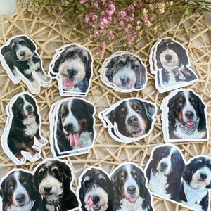 CUSTOM Pet Stickers 1 Pet image 2