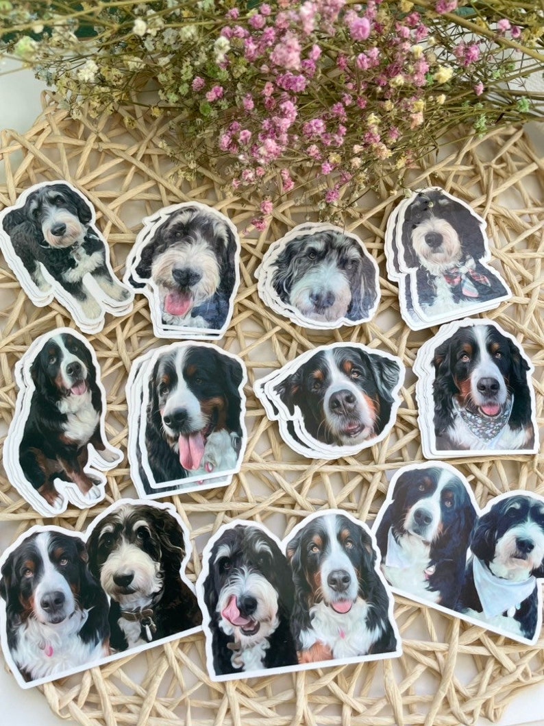May include: A collection of 12 dog stickers featuring various breeds, including Bernese Mountain Dogs, Sheepadoodles, and a black and white dog. The stickers are printed on white paper and have a glossy finish.
