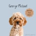 DIGITAL Custom Pet Portrait - Solid Color, DIGITAL FILE, Dog Portrait, Gift for Pet Lovers 
