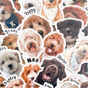 May include: A collection of colorful dog stickers with names like Poppy, Bruno, Oakley, Neo, Moose, and Boone. The stickers are printed on white paper and feature various dog breeds.