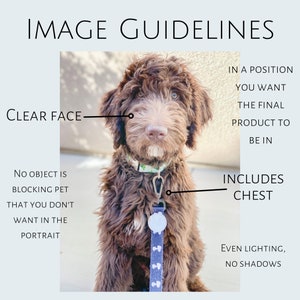Op de afbeelding: Een bruine hond met een krullende vacht, met een patroonhalsband en een blauwe riem. De afbeelding bevat tekst die luidt "IMAGE GUIDELINES", "CLEAR FACE", "INCLUDES CHEST" en andere instructies voor huisdierportretten.