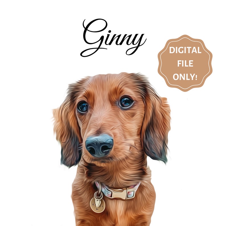 DIGITAL Custom Pet Portrait Solid Color, DIGITAL FILE, Dog Portrait, Gift for Pet Lovers image 6