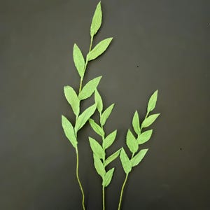 Pode incluir: Três caules de folhas de papel verde claro contra um fundo escuro. As folhas são longas e estreitas com uma superfície texturizada, e os caules são finos e amarelo-esverdeados. As folhas estão dispostas num padrão natural e orgânico.