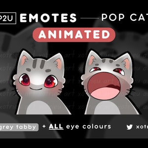 Animated Pop Cat Emote - Cute Chibi Cat - Kawaii - Neko, Kitty | Gaming Twitch/Discord | GIF Emote Sticker - Grey/Gray Tabby Cat