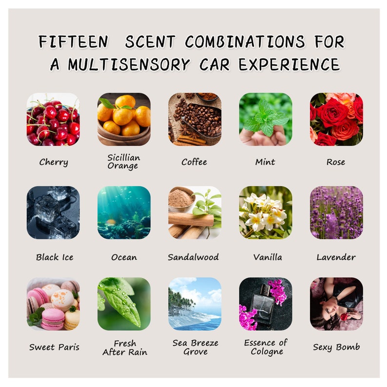 Puede incluir: Un collage de quince im&aacute;genes que muestran diferentes aromas para un ambientador de coche. Los aromas incluyen Cereza, Naranja de Sicilia, Caf&eacute;, Menta, Rosa, Hielo Negro, Oc&eacute;ano, S&aacute;ndalo, Vainilla, Lavanda, Par&iacute;s Dulce, Fresco Despu&eacute;s de la Lluvia, Brisa Marina, Esencia de Colonia y Bomba Sexy.