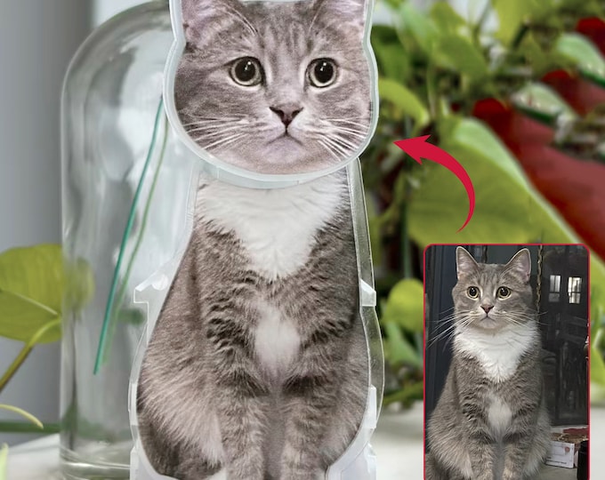 Custom Acrylic Pet Photo Bobblehead, Personalized Cat\Dog Picture shake head Ornament, Unique Auto Decoration, Novel Gifts for Dad Boyfriend