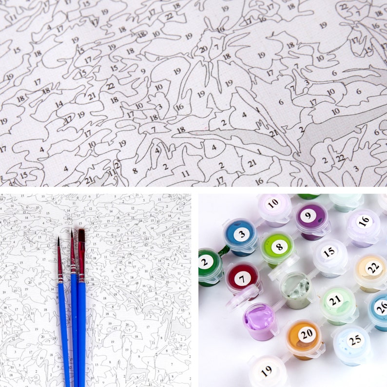 Paint By Numbers DIY Kit-Dream star ocean-Creative Wall Painting Handmade Gift Home Decoration-DIY Valentine/'s Day present