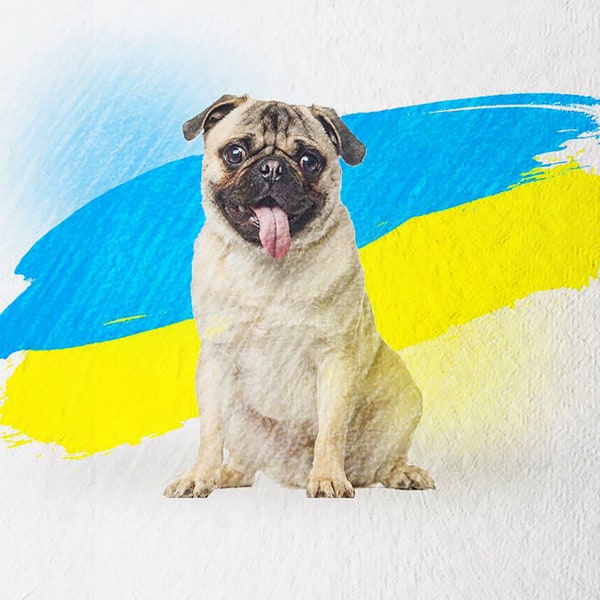 Ukraine Dog, Ukraine Pug, Ukraine Flag, Ukraine Digital Art, Yellow and Blue, Ukrainian Pug, Ukraine Shops, Ukrainian Sellers