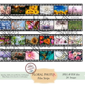 FLORAL Film Strips/Printable Film Strips, Photo, Digital Collage Sheet, Ephemera, Journal, Scrapbooking, Instant download, Mini journals