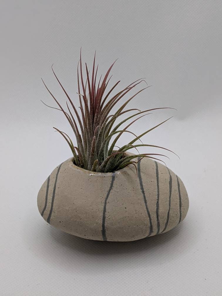 Handmade pottery small pebble plant pot ceramic planters Etsy