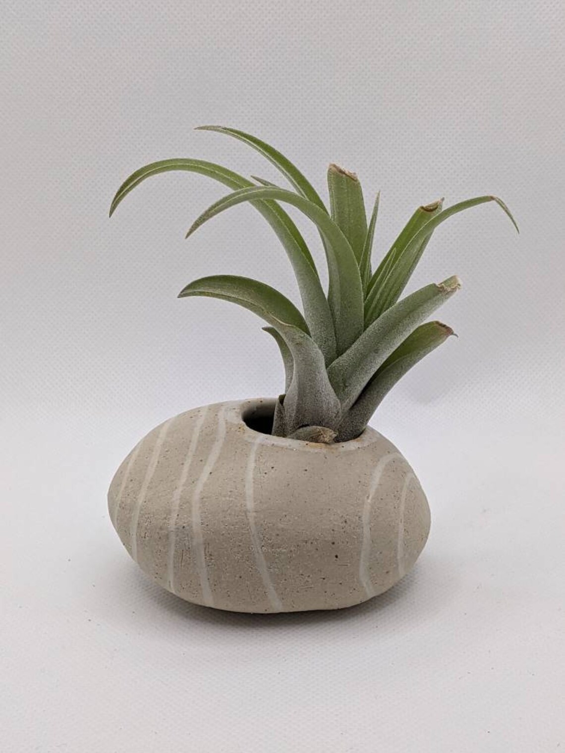 Handmade pottery small pebble plant pot ceramic planters Etsy