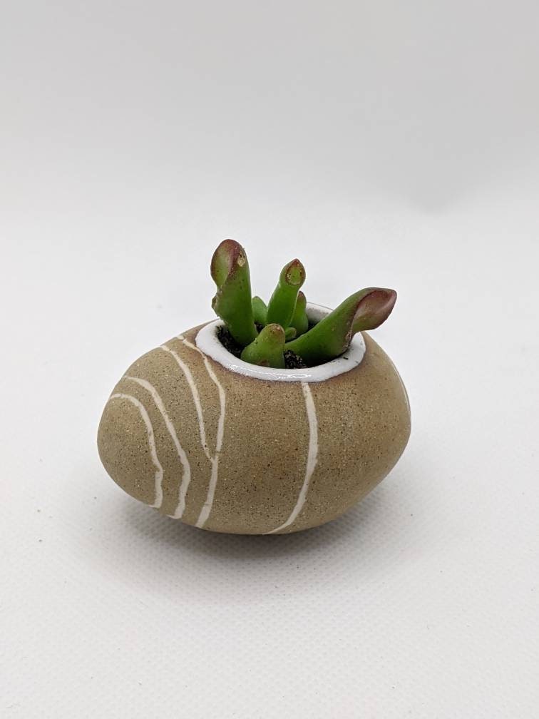 Handmade pottery small pebble plant pot ceramic planters Etsy