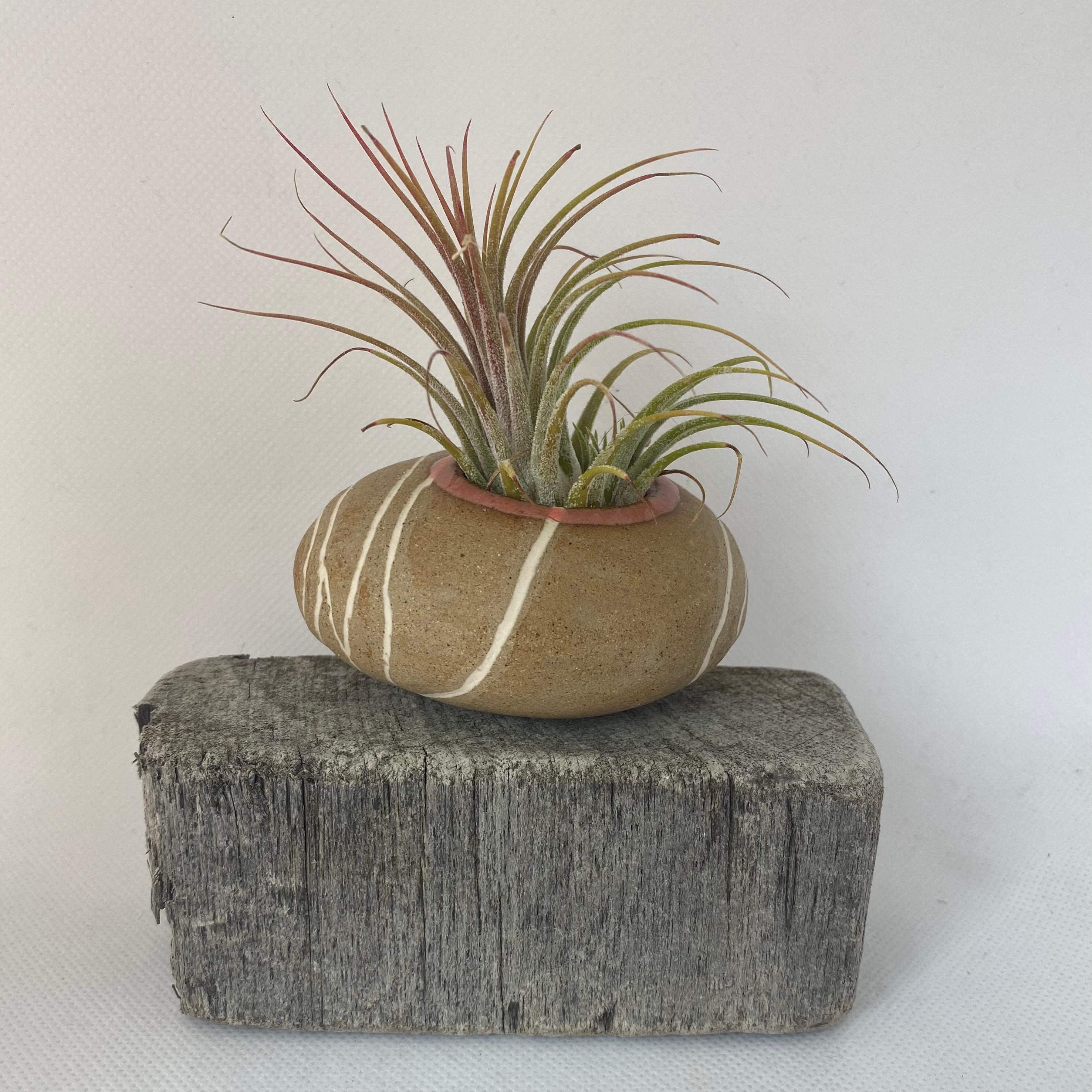 Handmade Pottery Small Pebble Plant Pot Ceramic Planters Etsy UK