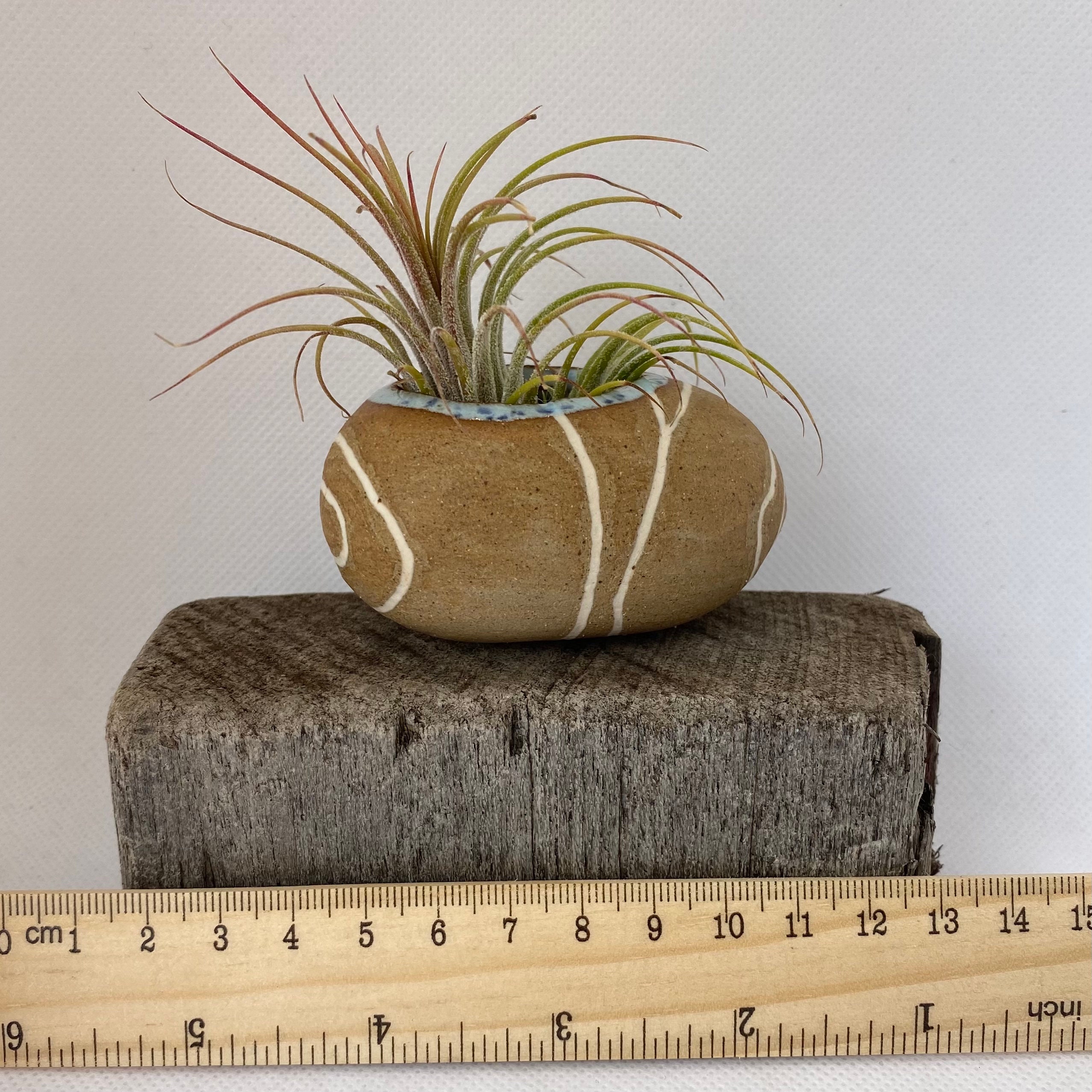 Handmade Pottery Small Pebble Plant Pot Ceramic Planters Etsy UK