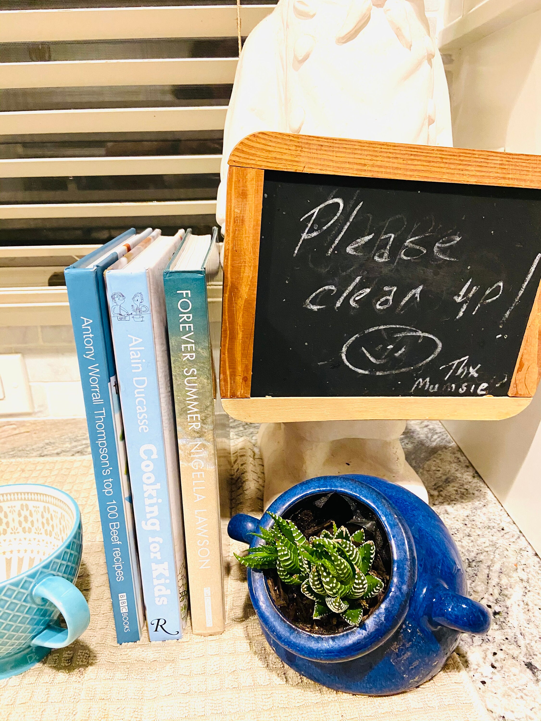 BEACH HOUSE COOKBOOKS will look Great On Your Coffee Table or Etsy