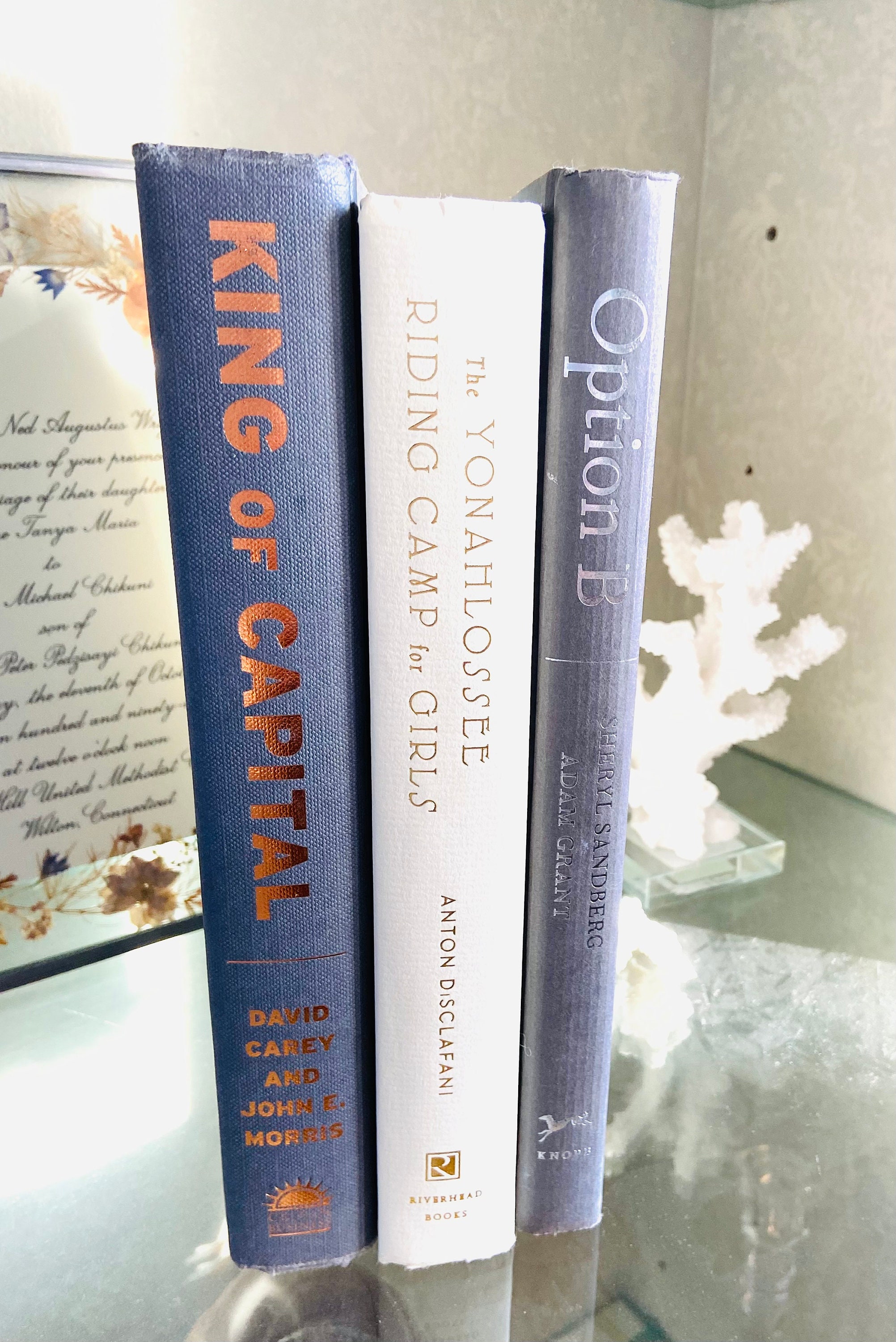 RH Decorative BOOK DECOR. Stylish Neutrals for that Weathered Etsy