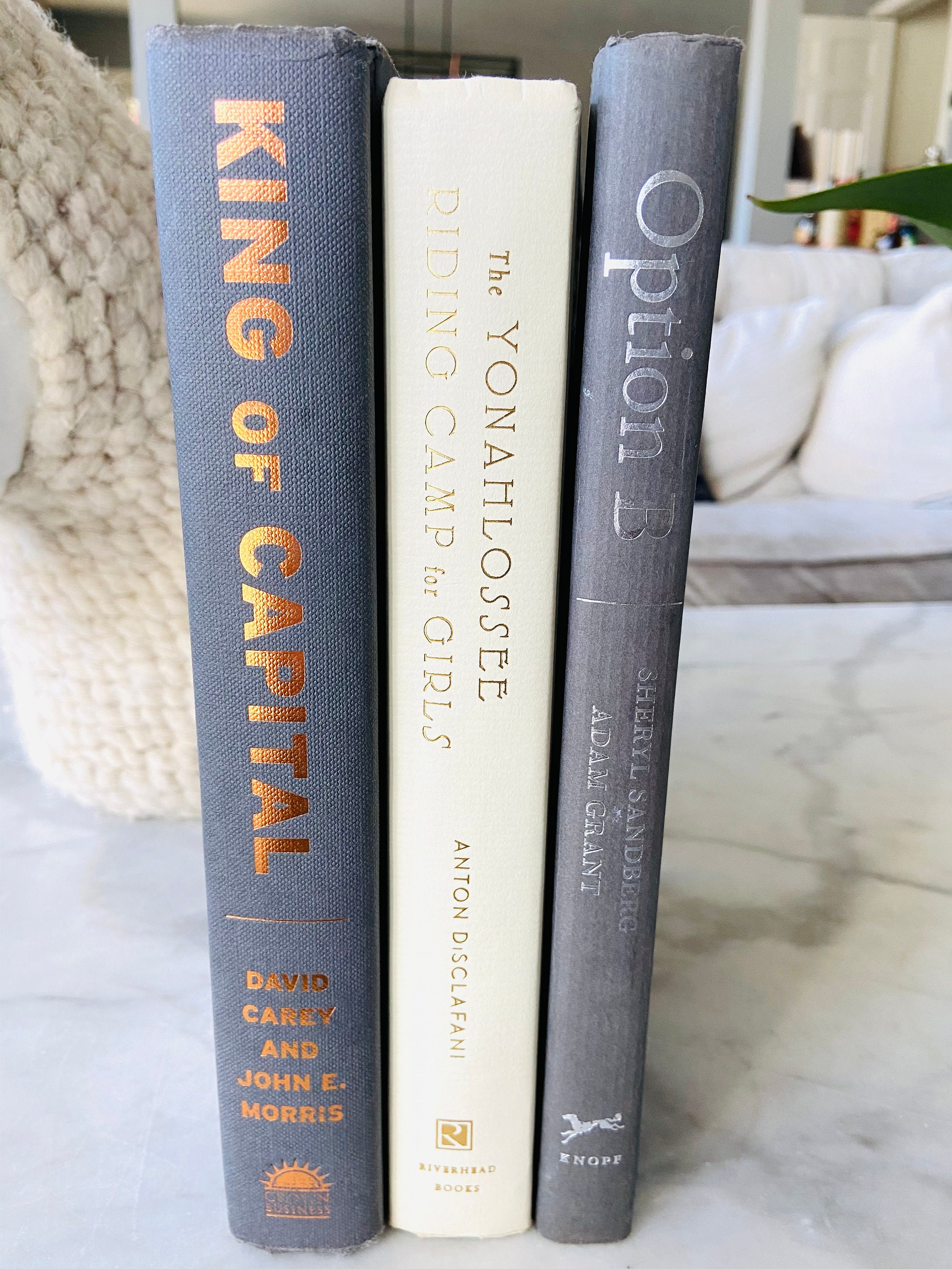 RH Decorative BOOK DECOR. Stylish Neutrals for that Weathered Etsy