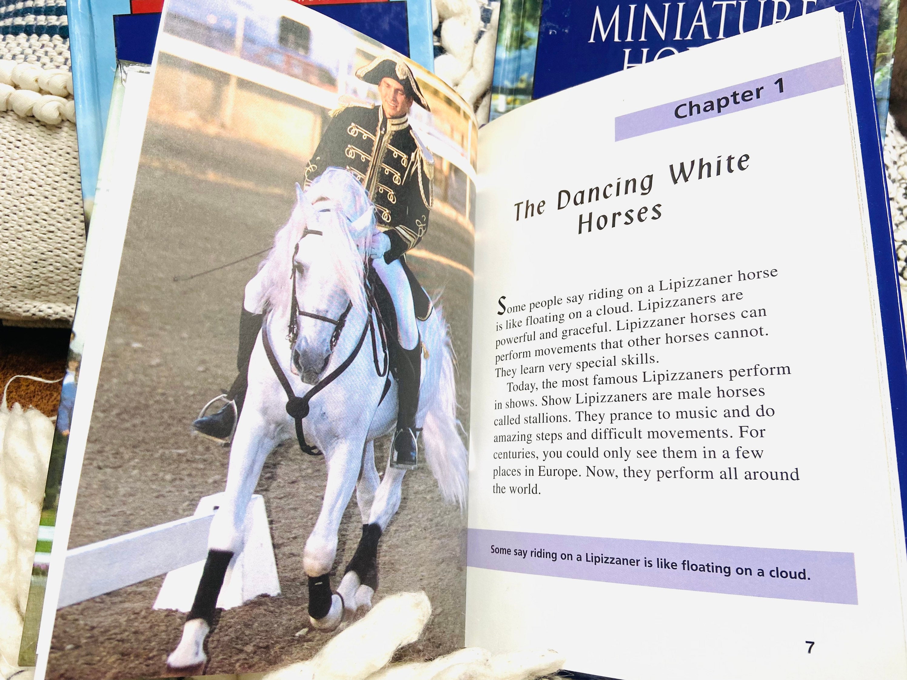 Horses 3 Book Set Learning About Horses... Morgan | Etsy