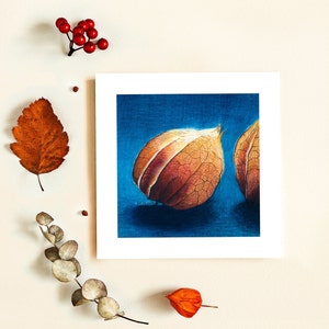 Carte physalis + enveloppe illustration crayon de couleur amour en cage impression mate carte postale carrée