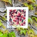 see more listings in the All section