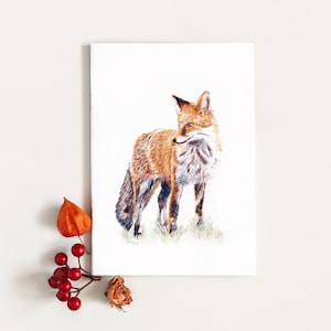 Carte illustration renard, carte postale crayons de couleur impression mate A6