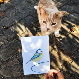 Geïllustreerde ansichtkaart, pimpelmees illustratie kleurpotloden matte print A6 kaart