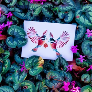cartão de amor, ilustração pássaros apaixonados lápis de cor cartão postal A6 impressão fosca imagem 2