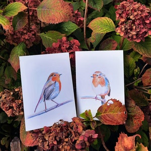 Cartes postales rouge-gorges lot de 2 cartes illustration crayons de couleur duo oiseaux amoureux impression mate 画像 3