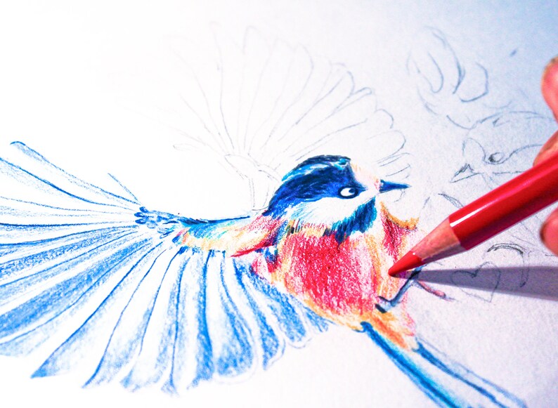 Carte amour fou, oiseaux amoureux illustration crayons de couleur impression mate carte A6 amour amour amooooouur image 2